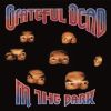 Grateful Dead - In the Dark