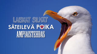 Keikkakuva (#111444)