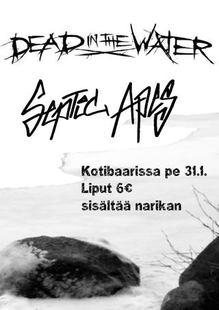 Keikkakuva (#93839)