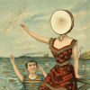 in the aeroplane over the sea