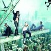 Backyard babies