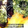 Verwstung/Invoke the Dark Age