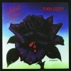 Black rose