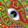 The Psychedelic Sounds Of The 13th Floor Elevators