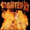 Pantera - Reinventing the Steel