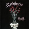 Afterlife