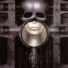 Brain Salad Surgery