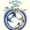 The Snow Goose