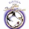 Music Inspired By The Snow Goose