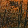 Estrangement