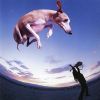 Paul Gilbert - Flying Dog