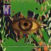 Jungle Of Love