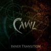Inner Transition