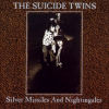 Silver Missiles And Nightingales