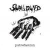 Putrefaction