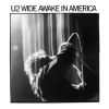 Wide awake in America