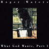What God wants, part 1
