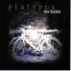 Ice Cycles