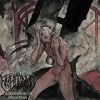 Declaration of Perdition