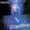 Steel Warrior