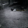 Naked City