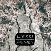 Liekki - Paimen