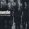 We Are The Pigs