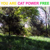 You Are Free