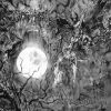 The Beherial Midnight
