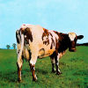 Pink Floyd - Atom Heart Mother