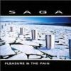 Pleasure & The Pain