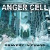 Bravery In Chaos