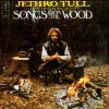 Songs from the Wood