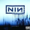 Nine Inch Nails - [With Teeth]