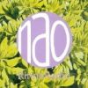 Nao