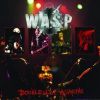 Double Live Assassins