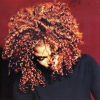 The Velvet Rope