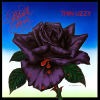 Black Rose: A Rock Legend