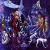 Forest Of Equilibrium