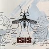 Mosquito Control