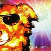 Dog Disco