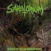 Sanatorium - Arrival of the Forgotten Ones