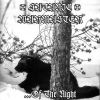 ...Of The Night