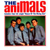 The Animals
