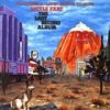 The Last Record Album