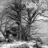 The Celtic Winter