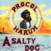 A Salty dog