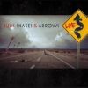 Snakes & Arrows Live