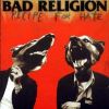 Recipe For Hate