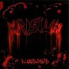 Bloodshed